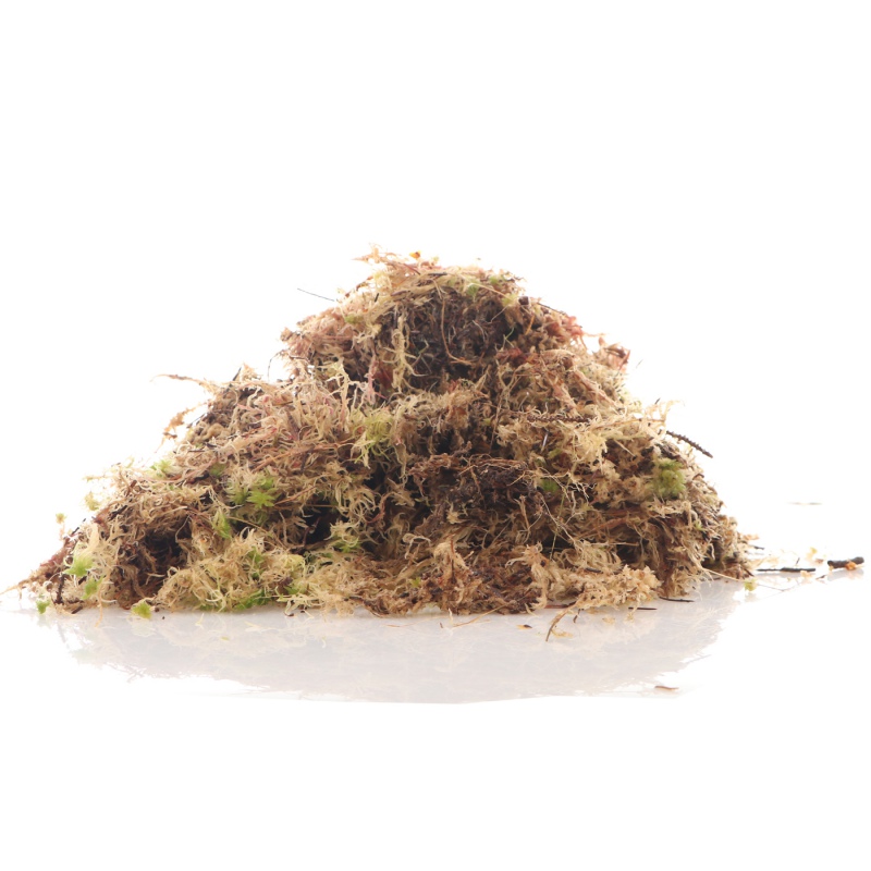 Komodo Habitat Moss 3l - live sphagnum moss 400g